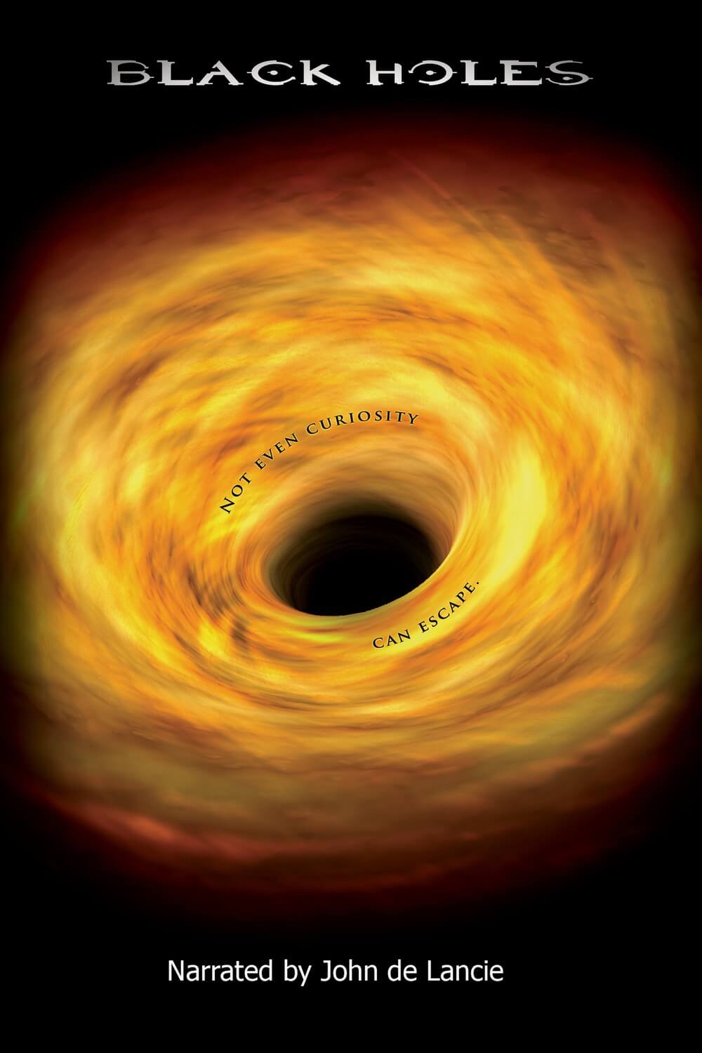 Black Holes