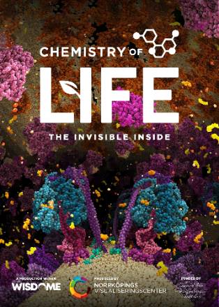 Chemistry of Life - The Invisible Inside